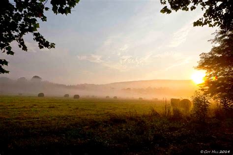 Country Captures: Summer Scenes