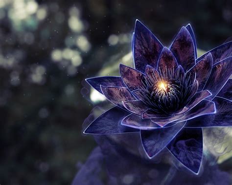 Black Lotus Flower Wallpaper