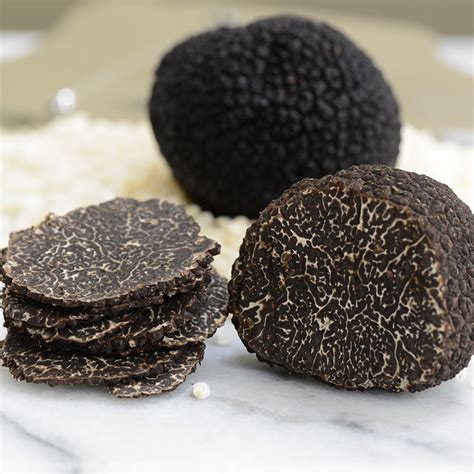 Fresh Black Perigord Truffle | Buy Fresh Truffles Online