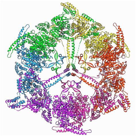 Fatty Acid Synthase Molecule Photograph by Laguna Design/science Photo ...