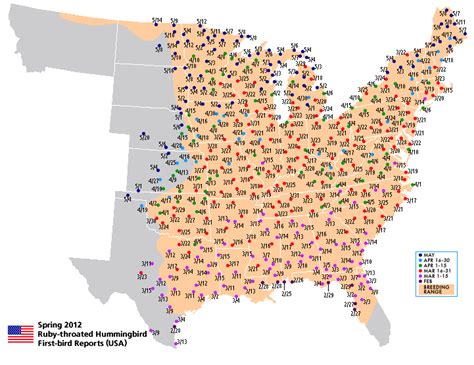 Hummingbird Migration Maps - Hummingbirds in Northern & Central NJ