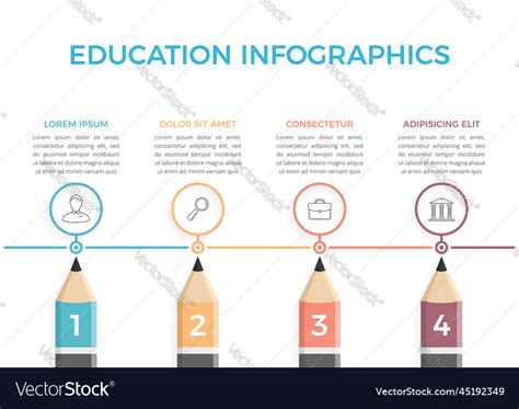 Education infographics Royalty Free Vector Image