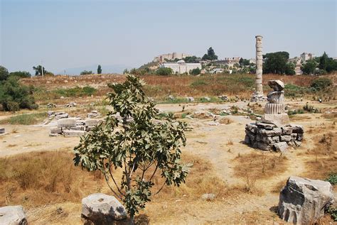 Temple of Artemis at Ephesus | Turkish Archaeological News