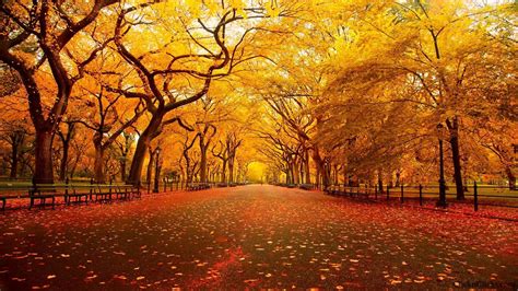 Autumn City Wallpapers - Top Free Autumn City Backgrounds - WallpaperAccess