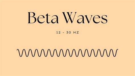 Understanding Brain Waves: Beta, Alpha, Theta, Delta + Gamma