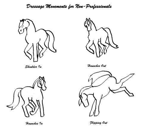 Thoughtful Equestrian: Dressage movements for non-professionals