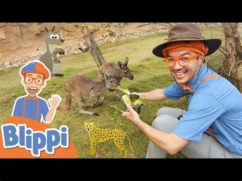 (289) Blippi Visits San Diego Zoo Safari Park | Animal Videos For Kids ...