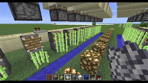 How Long Does Sugarcane Take To Grow Minecraft? - OR Live