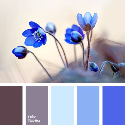 sapphire blue | Color Palette Ideas