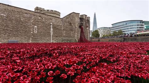 The Tower of London Poppies - YouTube