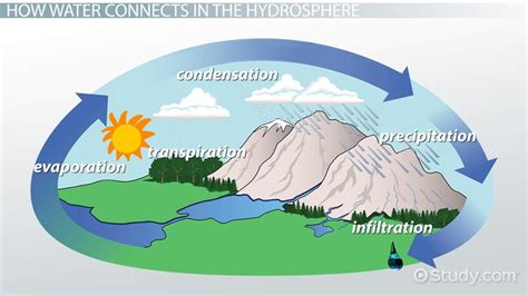 Hydrosphere Overview, Facts & Examples - Lesson | Study.com