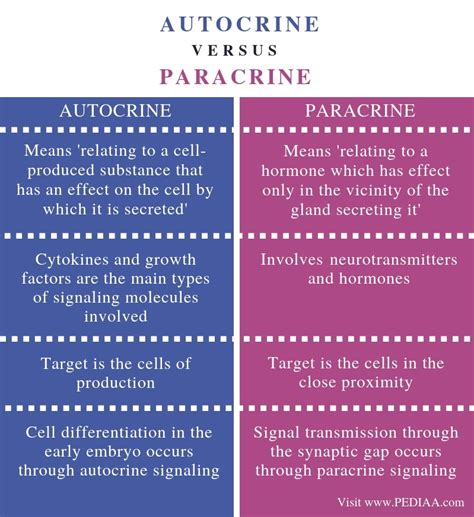 What is the Difference Between Autocrine and Paracrine - Pediaa.Com