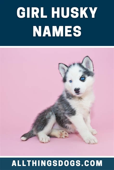 Unique Female Husky Dog Names And Meanings - random business name