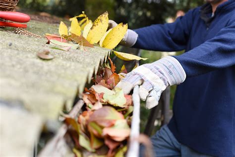 Gutter Cleaning Solutions | Best Gutter Cleaner Spray