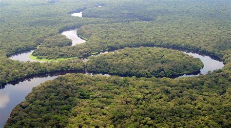 Congo Threatens to Open World’s Second largest Rainforest to loggers ...