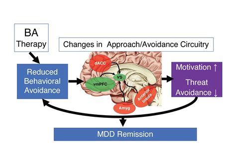 Multi-Level Mechanisms of Behavioral Activation — TReAD Lab