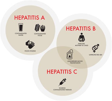 Hepatitis: Diagnosis & Treatment - Travocure