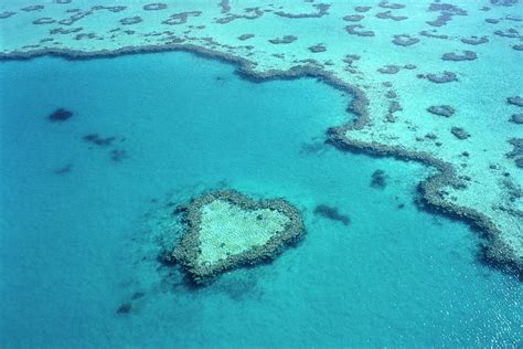 Aerial Of Heart-shaped Reef At Hardy #2 by Holger Leue