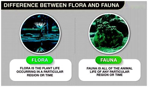 Difference Between Flora and Fauna | Flora vs Fauna - Testbook