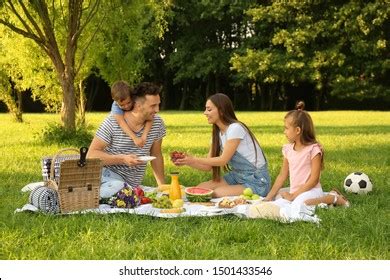 53,441 Family Picnic In Garden Images, Stock Photos, 3D objects ...