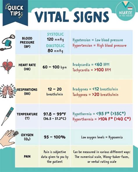 The Vital Signs Of The Human Body: What They Mean & Why You Should Know ...