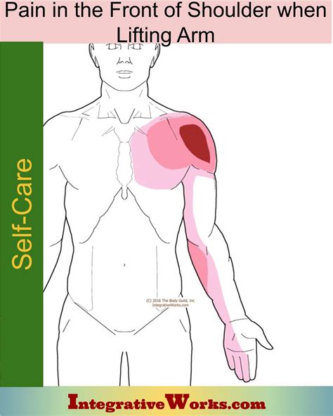 Self Care - Pain in the Front of Shoulder When Lifting Arm ...