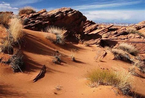 Desert Biome | Definition, Location, Characteristic