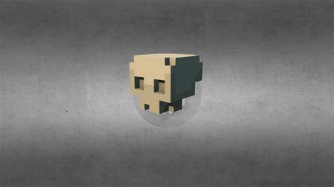 [最新] minecraft skeleton head 273141-Minecraft skeleton head costume ...