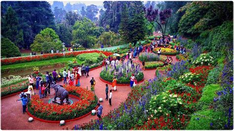 10 best Tourist places in Ooty 2022 | Ooty tourist places list with ...