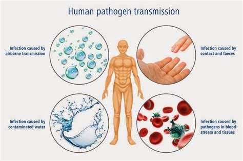 # 56 Summary of Infectious diseases and Antibiotics | Biology Notes for ...