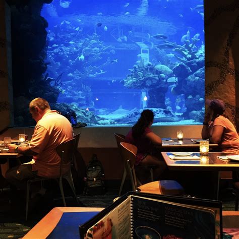 Coral Reef Restaurant: Under the Sea Fun at Epcot