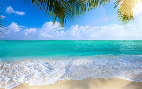 HD wallpaper: Beach, sea, shore, white salts, summer, paradise ...