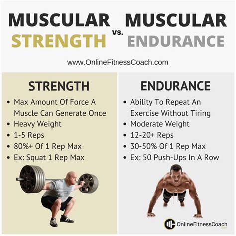 Muscular Strength And Muscular Endurance | Endurance workout, Muscular ...