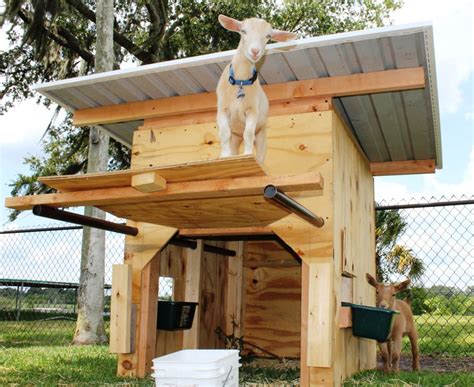 Goat Houses - House Decor Concept Ideas