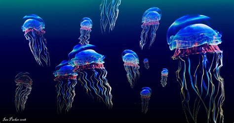 Jellyfish Wallpapers - Top Free Jellyfish Backgrounds - WallpaperAccess