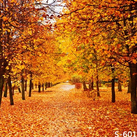 Buy 6x8ft Vinyl Autumn Fall le Yellow Tree Leaves Photography Studio ...