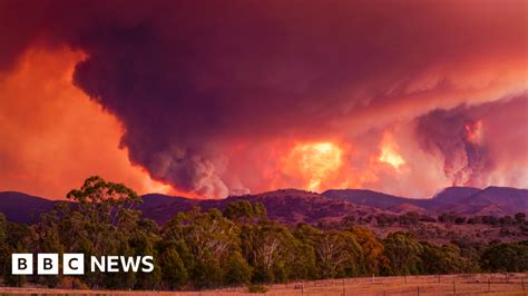 Australia fires: State of emergency declared for Canberra region - BBC News