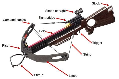 Crossbow Parts | Crossbow parts, Garage organize, Crossbow