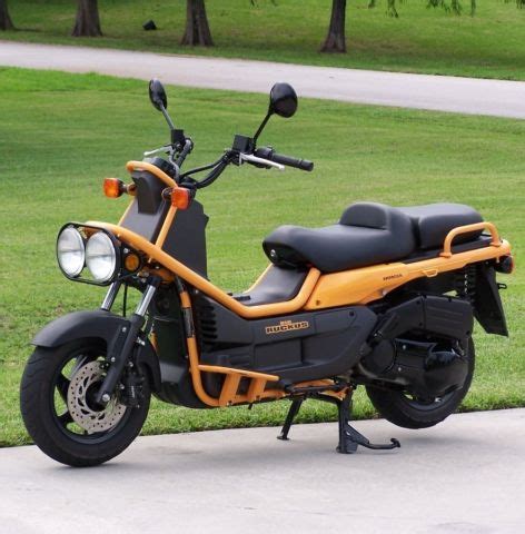 2005 Honda Big Ruckus 250 cc Scooter with 1848 miles - Garage Kept ...