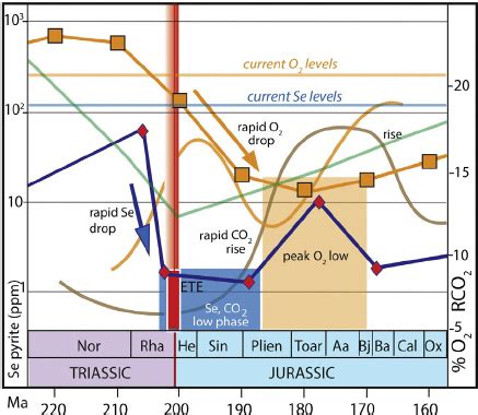 The end Triassic extinction event (ETE) showing two modelled oxygen ...