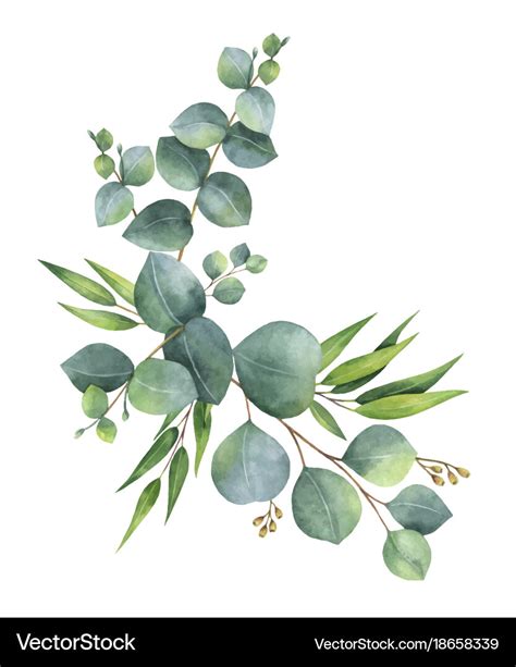 Watercolor wreath with green eucalyptus Royalty Free Vector