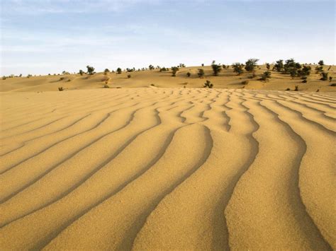 Thar Desert | Map, Climate, Vegetation, & Facts | Britannica