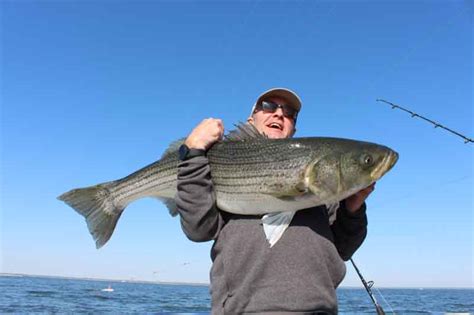 Maryland Spring Trophy Rockfish 2020 Opener Preview | FishTalk Magazine