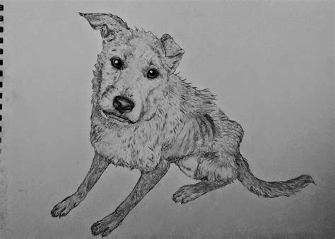 Sad Dog Drawing at PaintingValley.com | Explore collection of Sad Dog ...