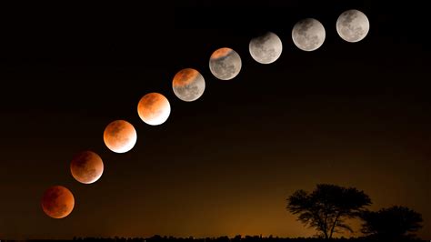 Lunar eclipses 2024 — When, where & how to see them | Space