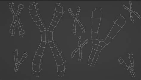 Detailed Chromosome 3D model and scene 3D model | CGTrader