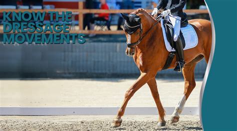 Know The Dressage Movements | Wellington The Magazine BLOG