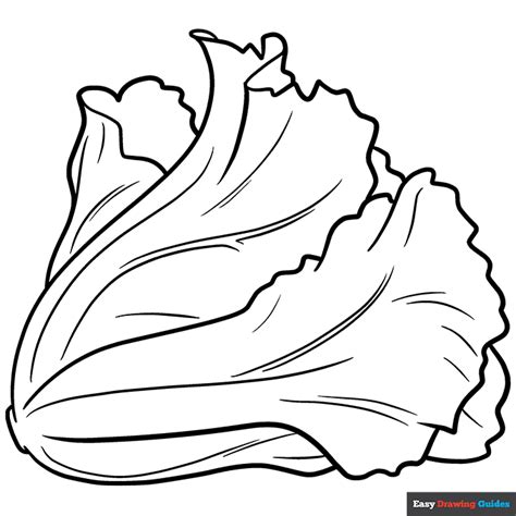 Lettuce Coloring Page | Easy Drawing Guides