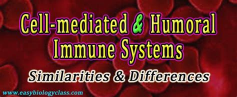 Compare Cell-mediated and Humoral Immunity | EasyBiologyClass