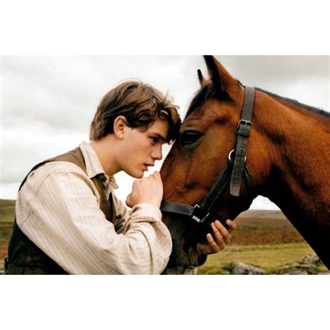 War Horse Movie Poster 24inx36in (61cm x 91cm) Art Poster 24x36 Multi ...